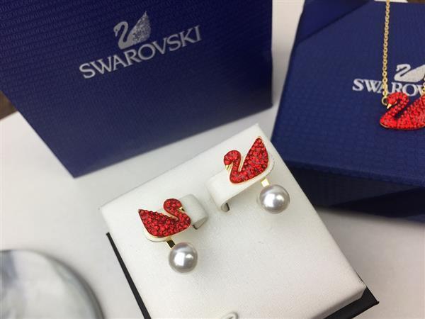 20242615450241 40404035